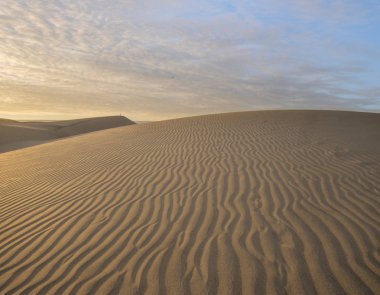 Dunas Maspalomas - çöl Kanarya Adası, Gran Canaria