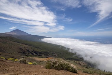 Teide Milli Parkı'nda, Tenerife görünümü noktadan görüntülemek