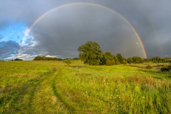 彩虹在春天的草地上 — 图库照片