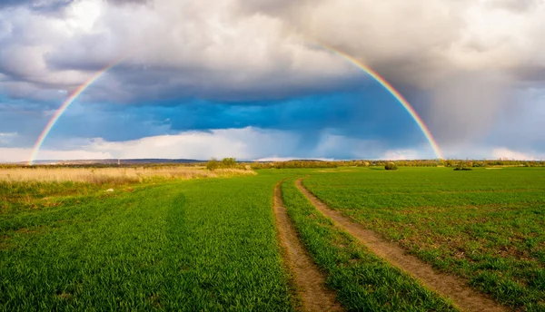 Regnbåge Över Fältet Våren Efter Kvällen Stormen — Stockfoto