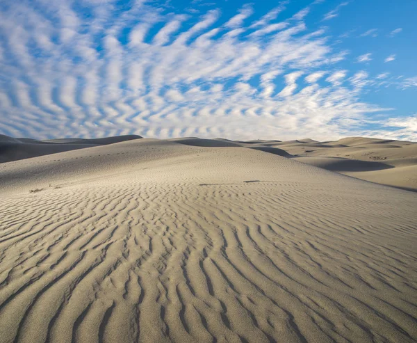 Alba Nel Deserto Durante Giorno — Foto Stock