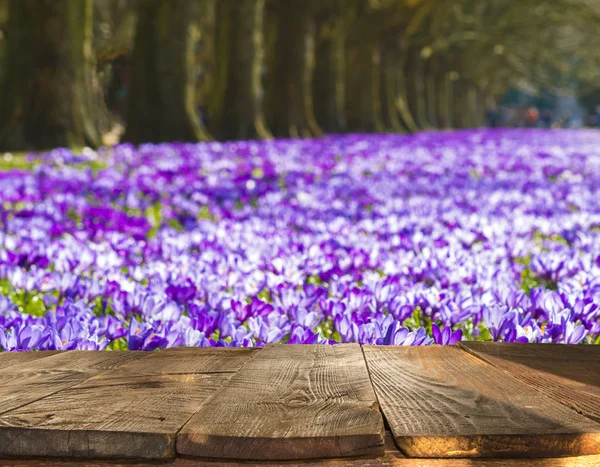 stock image landscape view of rural field with flowers outside city 