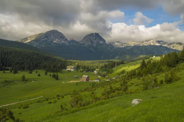 Verdi Prati Primaverili Nel Parco Nazionale Durmitor Montenegro — Foto Stock