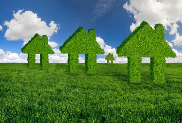 concept of green, ecological houses on a green meadow against the blue sky