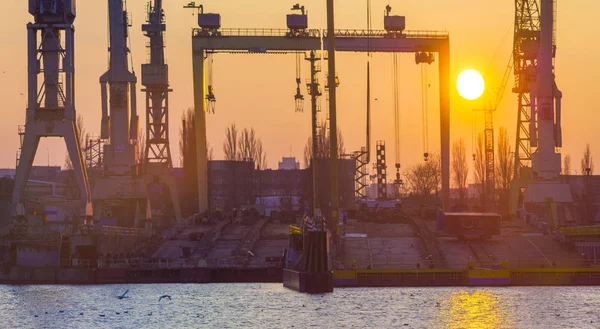 Siluetas Grúas Grúas Pórtico Luz Del Sol Poniente Astillero Szczecin — Foto de Stock