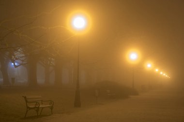 Avenue ve soğuk ve sisli bir gecede uçak ağaçlarının