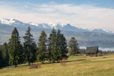 Polonya'da yüksek Tatras kış Panoraması