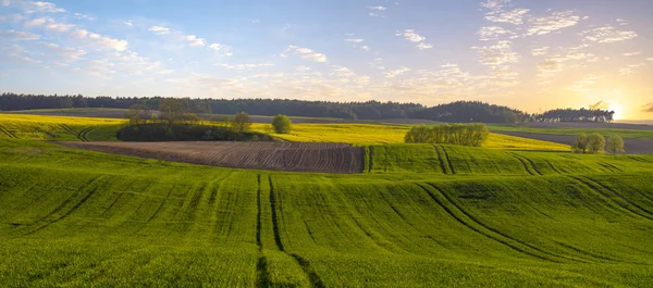 田園風景、スプリング フィールドのパノラマ — ストック写真