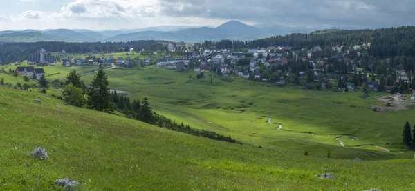 Groen Lente Weilanden Het Durmitor Nationaal Park Montenegro — Stockfoto