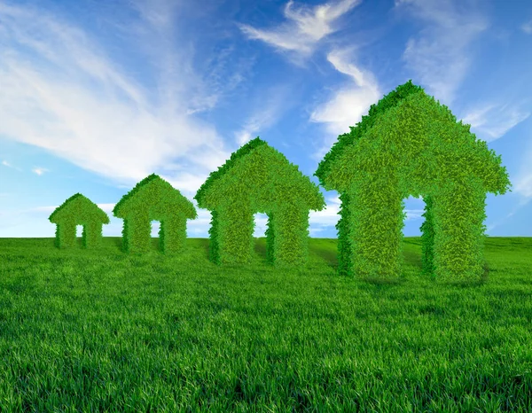 concept of green, ecological houses on a green meadow against the blue sky