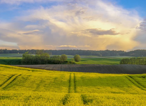 Kırsal manzara, Bahar alan Panoraması — Stok fotoğraf