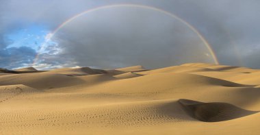 Ünlü doğal Maspalomas Beach kumulları. Gran Canaria. İspanya