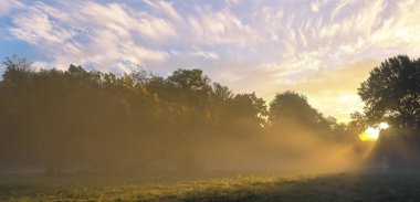alan ve ağaçlar üzerinde büyük gün batımı 