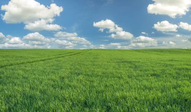 yeşil alan, panorama