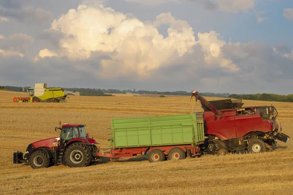 Grain Harvesting Combine Rural Field — Stock Photo, Image