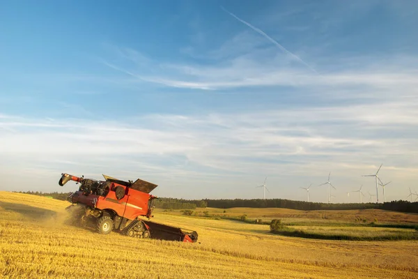 Combine harvester agriculture machine harvesting golden ripe whe — Stock Photo, Image