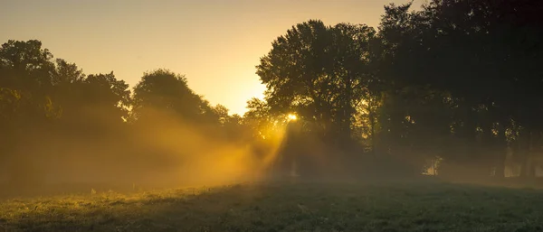 Schöner Nebliger Und Sonniger Morgen Park — Stockfoto