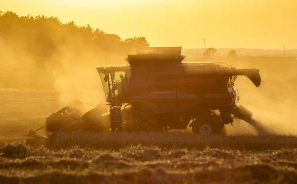 골든 익은 whe 수확 수확 농업 기계 결합 — 스톡 사진