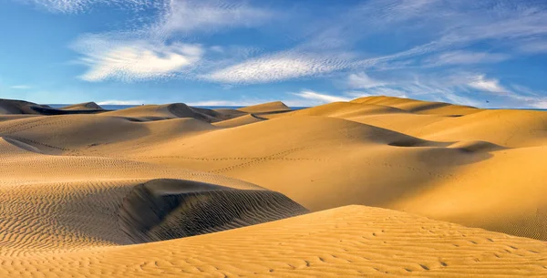 Famous natural park Maspalomas dunes in Gran Canaria at sunrise,