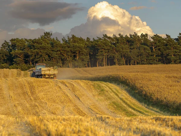 farming machinery working on agro field