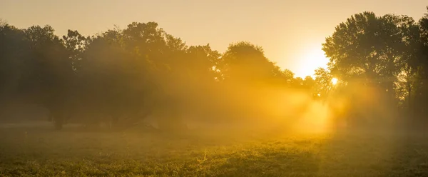 Красивое Туманное Солнечное Утро Парке — стоковое фото