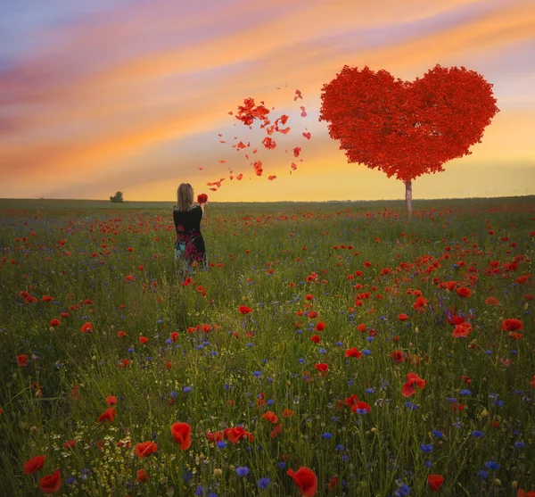 Arbre Rouge Forme Coeur Symbole Amour Saint Valentin — Photo