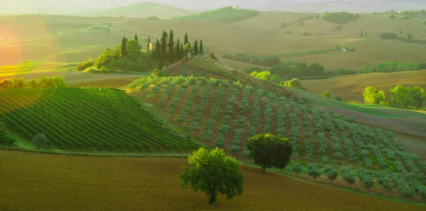  San Quirico D´Orcia, Toskana, İtalya-April16, 2016: güzel toprakları