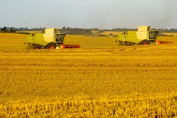 Moisson combiner récolte champ de blé mûr doré dans la lumière — Photo