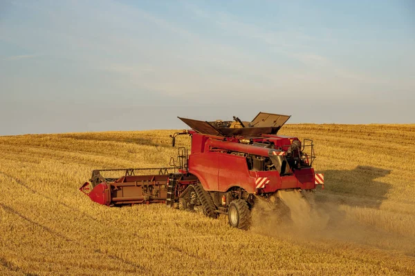 Kombinera skördare jordbruket maskin skörd gyllene mogen whe — Stockfoto