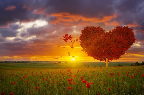 Albero Simbolo Dell Amore Forma Cuore Rosso San Valentino — Foto Stock