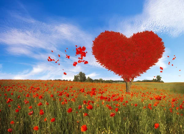 Czerwony Drzewo Symbol Miłości Walentynki Kształcie Serca — Zdjęcie stockowe