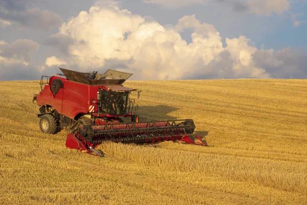 Altın olgun whe hasat hasat Tarım makineleri birleştirmek — Stok fotoğraf