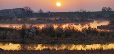 göl kenarında yeşil bir bahar tarlası üzerinde gündoğumu, arka planda beyaz ağaçlar çiçek lenme ve uzak banliyölerinden