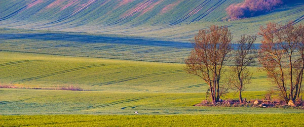 Paysage Rural Printanier Collines Verdoyantes Panorama — Photo