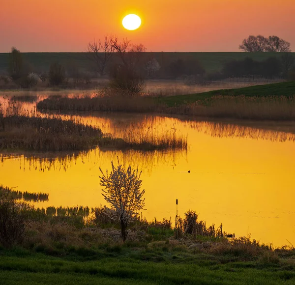 Salida Del Sol Sobre Verde Campo Primavera Junto Lago Fondo — Foto de Stock