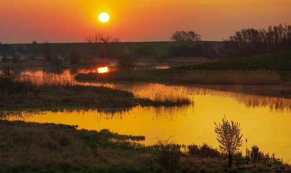 göl kenarında yeşil bir bahar tarlası üzerinde gündoğumu, arka planda beyaz ağaçlar çiçek lenme ve uzak banliyölerinden