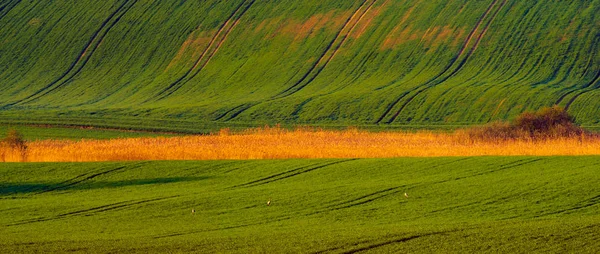 Bahar kırsal manzara, haddeleme yeşil tepeler-panorama