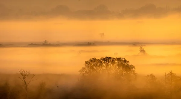 Valle de primavera hundido en la niebla de la mañana — Foto de Stock