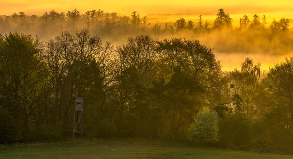 Torre di caccia sulla valle in primavera, alba nebbiosa — Foto Stock