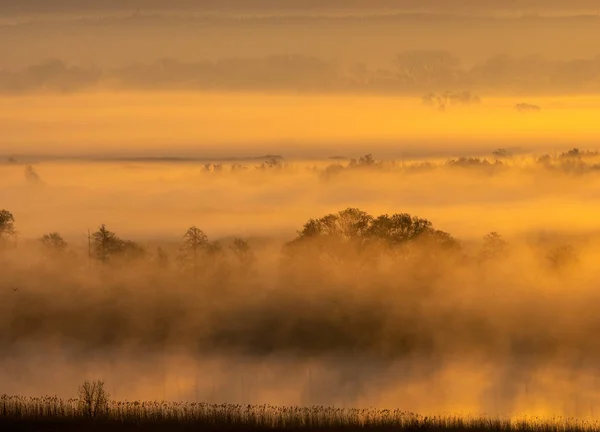 Quelltal versinkt im Morgennebel — Stockfoto