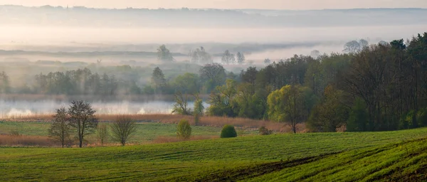 Frühling, nebliger Morgen über dem Tal, Aussicht — Stockfoto