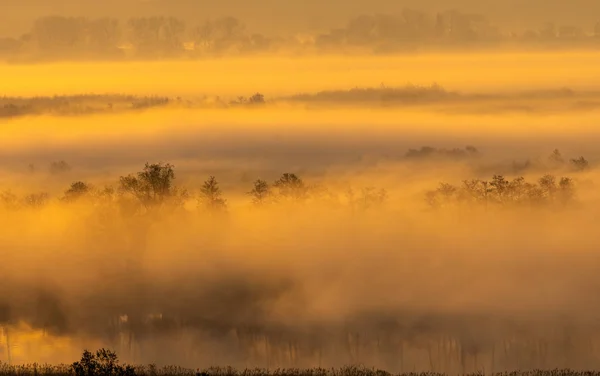 Spring valley sunk in the morning fog — Stock Photo, Image