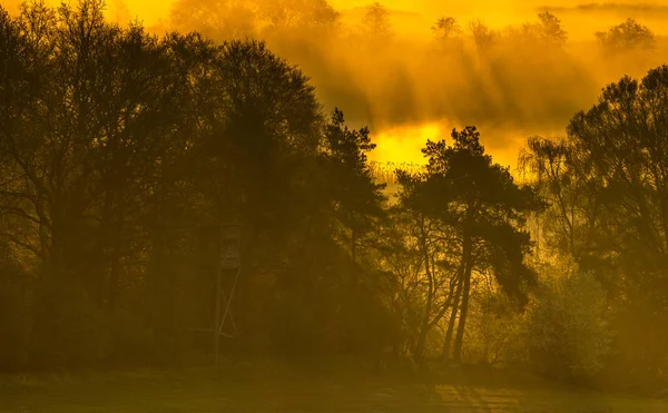 Torre de caza sobre el valle en la primavera, nebuloso amanecer — Foto de Stock