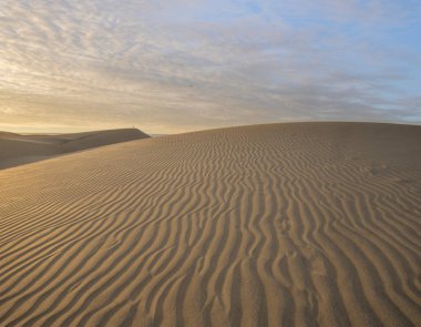 Dunas Maspalomas - çöl Kanarya Adası, Gran Canaria