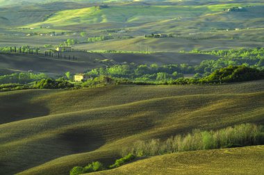 Pienza, İtalya-Eylül 2015: Klasik görüntü Toskana manzara
