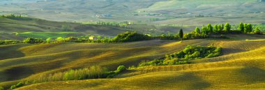 Pienza, İtalya-Eylül 2015: Klasik görüntü Toskana manzara