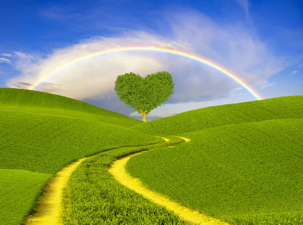 green heart-shaped tree on a spring meadow