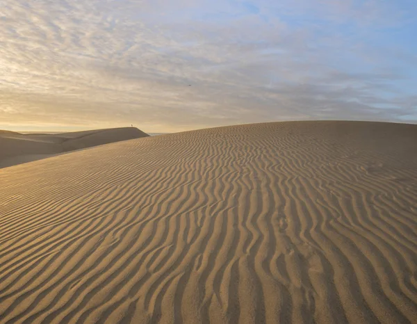 Dunas Maspalomas Sivatag Kanári Szigeten Gran Canaria — Stock Fotó