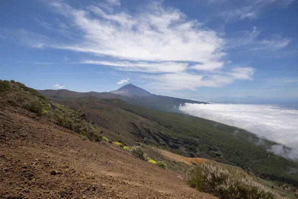 Vue Point Vue Parc National Teide Tenerife — Photo
