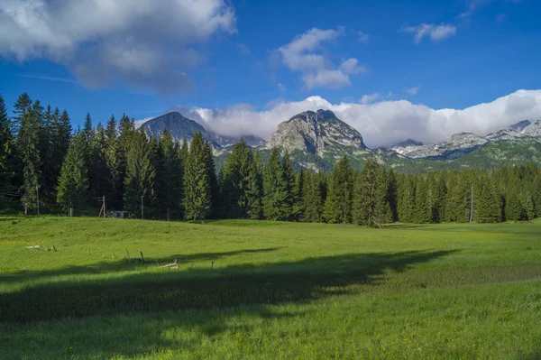 Vert Prairies Printanières Dans Parc National Durmitor Monténégro — Photo